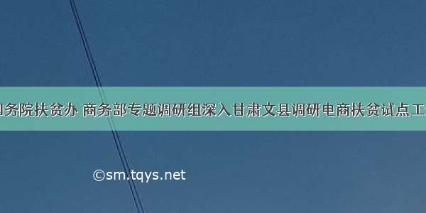 国务院扶贫办 商务部专题调研组深入甘肃文县调研电商扶贫试点工作