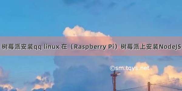 树莓派安装qq linux 在（Raspberry Pi）树莓派上安装NodeJS