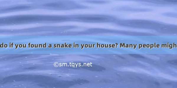 What would you do if you found a snake in your house? Many people might be afraid or try t