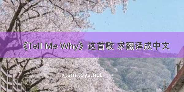 《Tell Me Why》这首歌 求翻译成中文