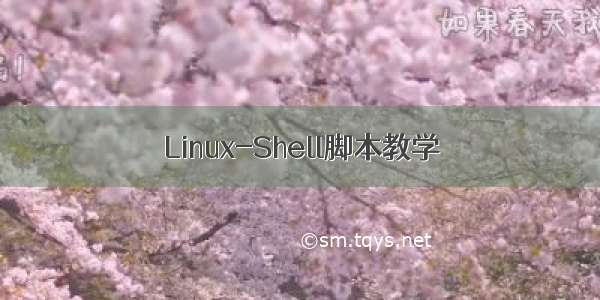 Linux-Shell脚本教学