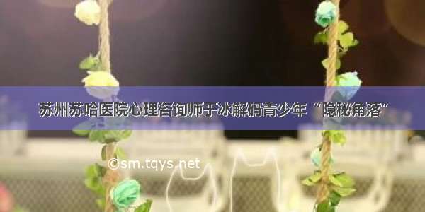 苏州苏哈医院心理咨询师于冰解码青少年“隐秘角落”