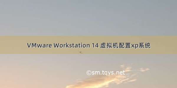 VMware Workstation 14 虚拟机配置xp系统