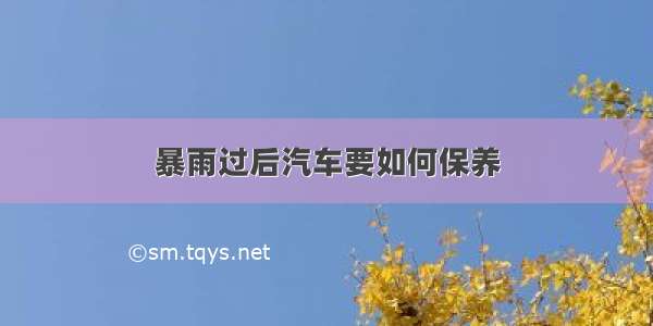 暴雨过后汽车要如何保养