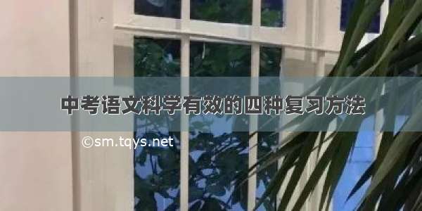 中考语文科学有效的四种复习方法