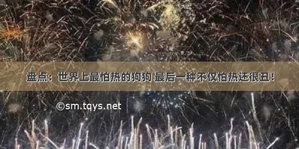 盘点：世界上最怕热的狗狗 最后一种不仅怕热还很丑！