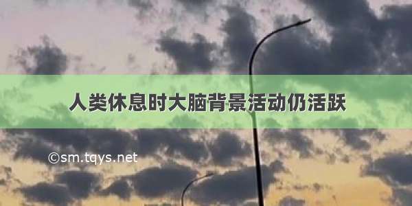 人类休息时大脑背景活动仍活跃