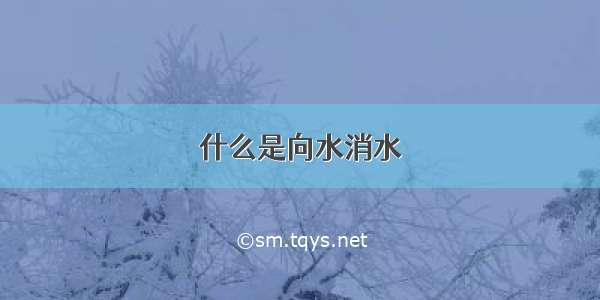 什么是向水消水