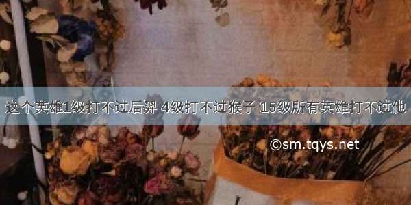 这个英雄1级打不过后羿 4级打不过猴子 15级所有英雄打不过他