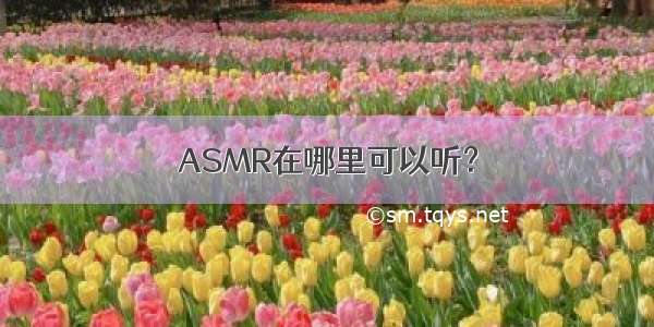 ASMR在哪里可以听？