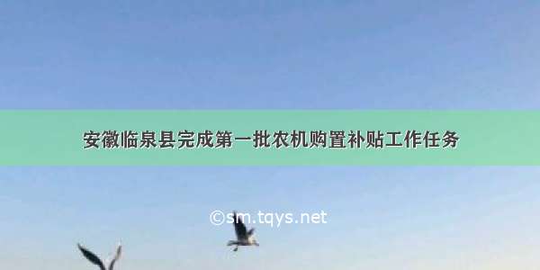 安徽临泉县完成第一批农机购置补贴工作任务