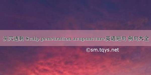 头穴透刺 Scalp penetration acupuncture英语短句 例句大全