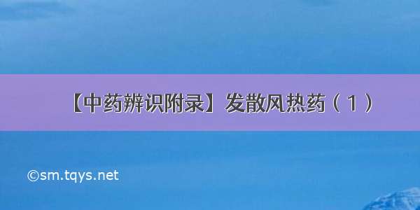 【中药辨识附录】发散风热药（1）