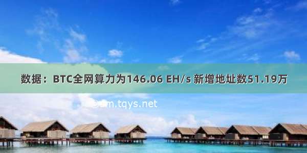 数据：BTC全网算力为146.06 EH/s 新增地址数51.19万