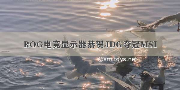 ROG电竞显示器恭贺JDG夺冠MSI