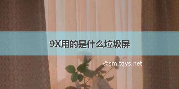 9X用的是什么垃圾屏