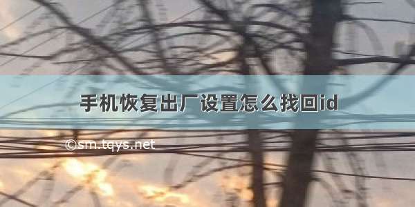 手机恢复出厂设置怎么找回id