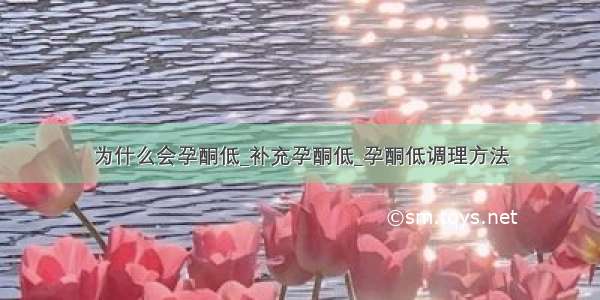 为什么会孕酮低_补充孕酮低_孕酮低调理方法