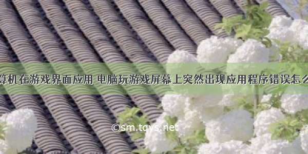 计算机在游戏界面应用 电脑玩游戏屏幕上突然出现应用程序错误怎么办