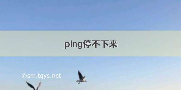 ping停不下来