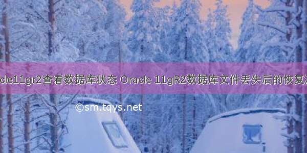 oracle11gr2查看数据库状态 Oracle 11gR2数据库文件丢失后的恢复测试