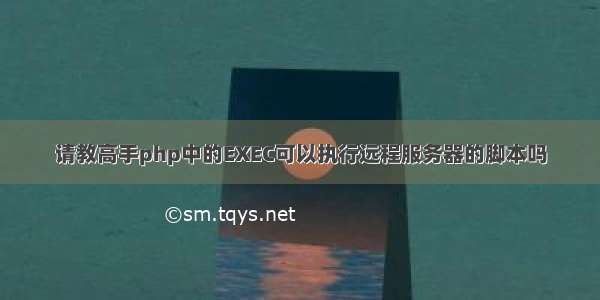 请教高手php中的EXEC可以执行远程服务器的脚本吗