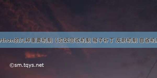 python的几种重要机制（垃圾回收机制 猴子补丁 反射机制 自省机制）