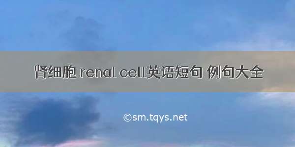 肾细胞 renal cell英语短句 例句大全