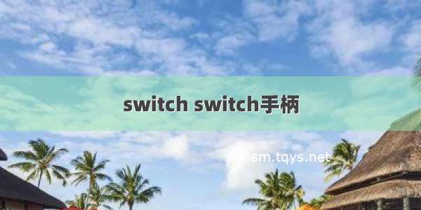 switch switch手柄