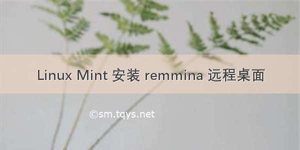 Linux Mint 安装 remmina 远程桌面
