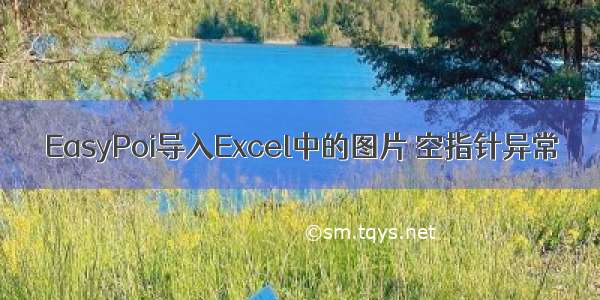 EasyPoi导入Excel中的图片 空指针异常