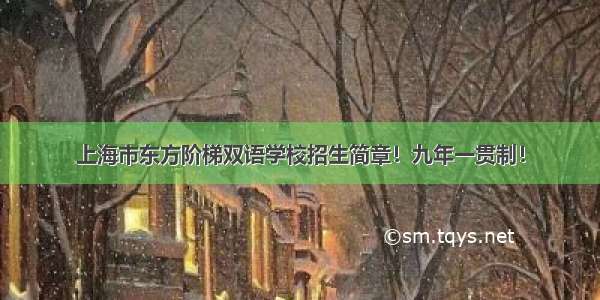 上海市东方阶梯双语学校招生简章！九年一贯制！