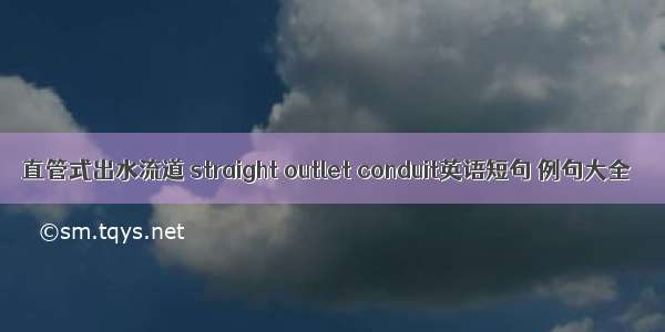 直管式出水流道 straight outlet conduit英语短句 例句大全