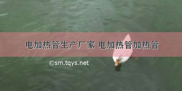 电加热管生产厂家 电加热管加热管