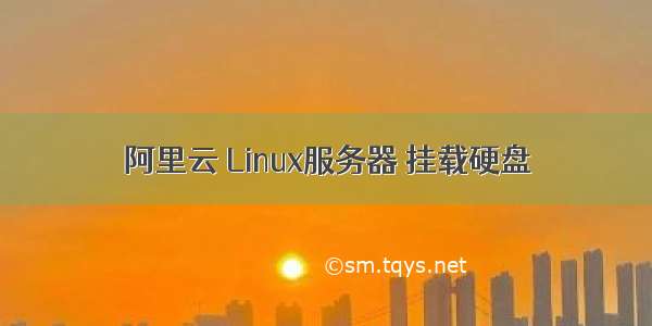 阿里云 Linux服务器 挂载硬盘