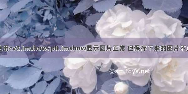 解决问题：使用cv2.imshow/plt.imshow显示图片正常 但保存下来的图片不正常或者全黑