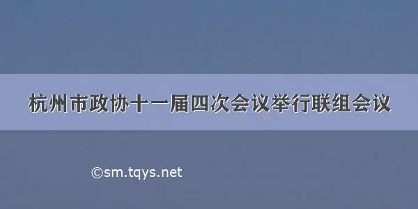 杭州市政协十一届四次会议举行联组会议