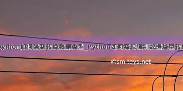 python如何强制转换数据类型_Python如何实现强制数据类型转换