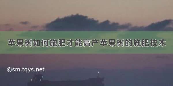 苹果树如何施肥才能高产苹果树的施肥技术