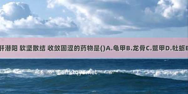 功可平肝潜阳 软坚散结 收敛固涩的药物是()A.龟甲B.龙骨C.鳖甲D.牡蛎E.代赭石