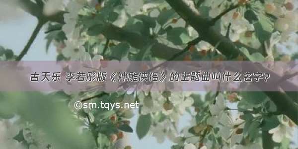 古天乐 李若彤版《神雕侠侣》的主题曲叫什么名字？