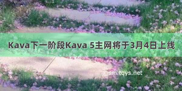 Kava下一阶段Kava 5主网将于3月4日上线