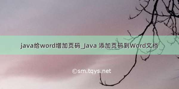 java给word增加页码_Java 添加页码到Word文档