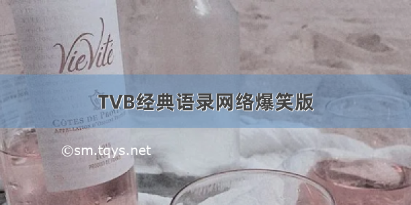 TVB经典语录网络爆笑版