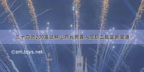 三十四团200亩试种山药长势喜人成职工致富新渠道