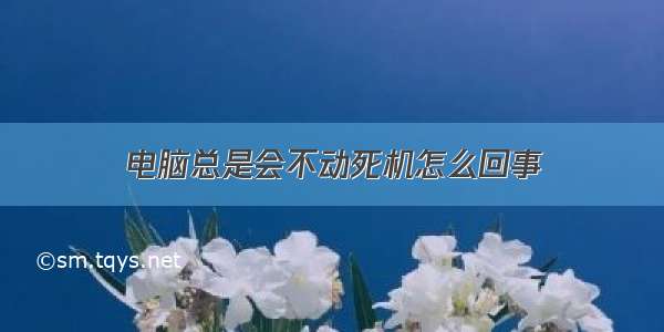 电脑总是会不动死机怎么回事