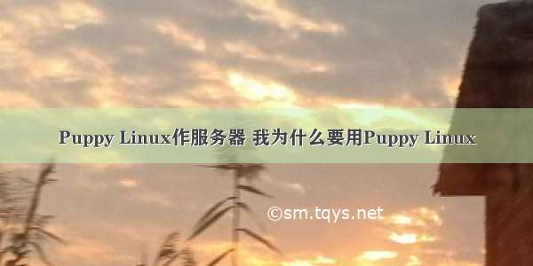 Puppy Linux作服务器 我为什么要用Puppy Linux
