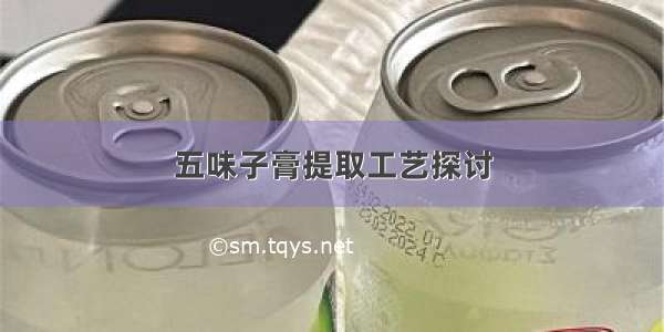 五味子膏提取工艺探讨