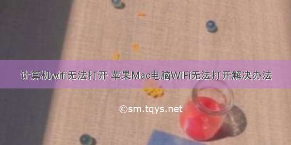 计算机wifi无法打开 苹果Mac电脑WiFi无法打开解决办法