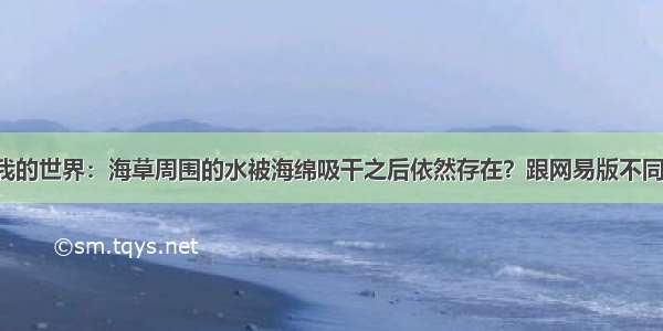 我的世界：海草周围的水被海绵吸干之后依然存在？跟网易版不同！